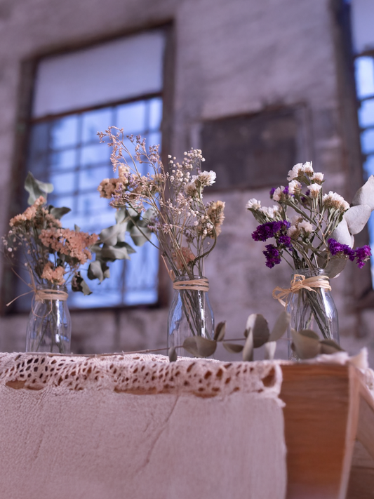 3 יחידות מיני